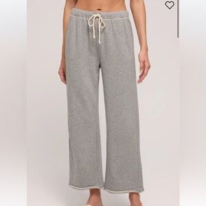 Zsupply Gray Terry Sweats